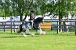 SBM_11564
