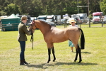 SBM_05573
