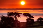 z4285 Savanna Sunrise from Brading Down