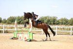 SBM_007976