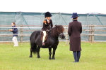 SBM_08169