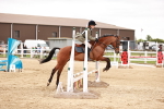 SBM_008686
