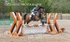 BPP_7008