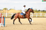 SBM_007039