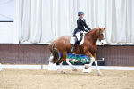 SBM_003237