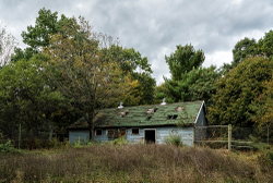 Catskill Game Farm (Catskill, NY) | Spider Pen
