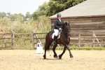 SBM_003627