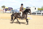 SBM_11267