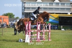 BPP_6897