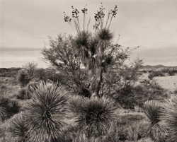 Landscapes portfolio