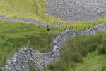 Settle Hills-923
