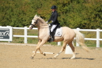 SBM_001554