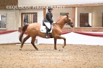 BPP_8539