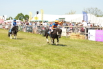 SBM_17284