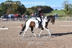 BPP_8901