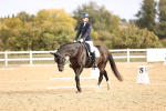 SBM_009533
