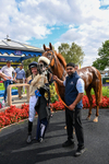 300826-Race 3-Pivotal Voyage-7773