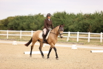 SBM_006432
