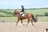 BPP_9337