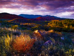 Red Cliffs Utah USA