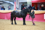 SBM_03008