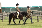 SBM_05411