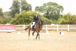 SBM_004566