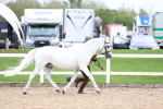 SBM_05885