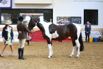 SBM_09802