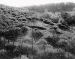 Sink Hole, Pleasant Valley, Pennsylvania 1982