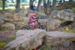 DSCF0210
