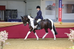 SBM_24642