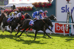 240824-Race 5-Elmonjed-9177