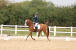 SBM_00728