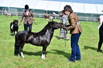 SBM_03514