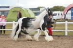 SBM_08498