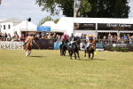 SBM_16517