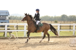 SBM_03905