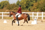 SBM_018620