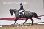 BPP_7250