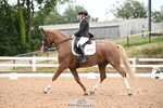 113-Ruby.Gumbley-Nova's.Golden.Dream portfolio