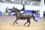 SBM_002185