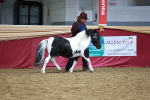 SBM_01183