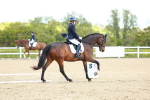 SBM_000385
