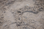 SBM_000051