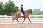 Cls 3 FEI PSG BRONZE portfolio