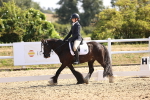 SBM_009172