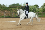SBM_000334
