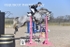 BPP_7428