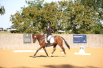 SBM_18356